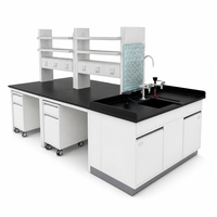 Table de travail de laboratoire de biotechnologie à structure en acier robuste avec plateau phénolique et station d'évier