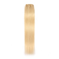 Ekstensi Rambut Asli India Double Drawn Liquidation Stock, Bebas Kusut, 10"-26" Pirang, Grosir, Untuk Salon