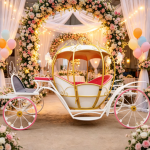 Chariot de luxe en forme de citrouille pour mariage, style personnalisé, <span class=keywords><strong>prix</strong></span> d'usine abordable pour le tourisme en zone touristique et l'activité commerciale - Product Image 3