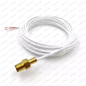 Tùy chỉnh đồng thau M6 M8 M10 Threaded probe 3m Cáp RTD cảm biến nhiệt Độ PT100 pt1000 - Product Image 3