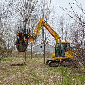 Máquina Trasplantadora de Árboles para Excavadoras de 5-10 Toneladas, Núcleo de Motor, 1 Año de Garantía, Fabricado en Shandong Jining, Probado y Certificado - Product Image 4