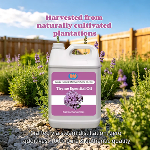 Huile Essentielle de Thym 100% Pure et Naturelle en Gros pour Soins Cutanés Antibactériens Puissants et Revitalisants – Prix Fabricant - Product Image 3