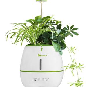 Maceta Inteligente Creativa para Plantas, Purificador de Aire Interior, Macetas y Jardineras Inteligentes - Product Image 5