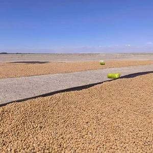 Top Grade <strong>Walnut</strong> <strong>Kernels</strong> New Crop Raw <strong>Walnut</strong> From China Manufacturer Wholesale Price for Export - Product Image 4