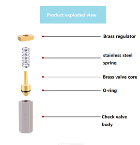 Brass Swing bóng kiểm tra van thép không gỉ mùa xuân 1/8 \ "~ 1/2 \" nữ chủ đề một chiều không khí không trở lại van cho hệ thống khí nén - Product Image 3