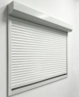 Fenêtre à Volet Roulant de Sécurité Personnalisée pour Villa Moderne, en Alliage d'Aluminium, Automatique, Durable, Écologique, Résistante au Vent et aux Ouragans