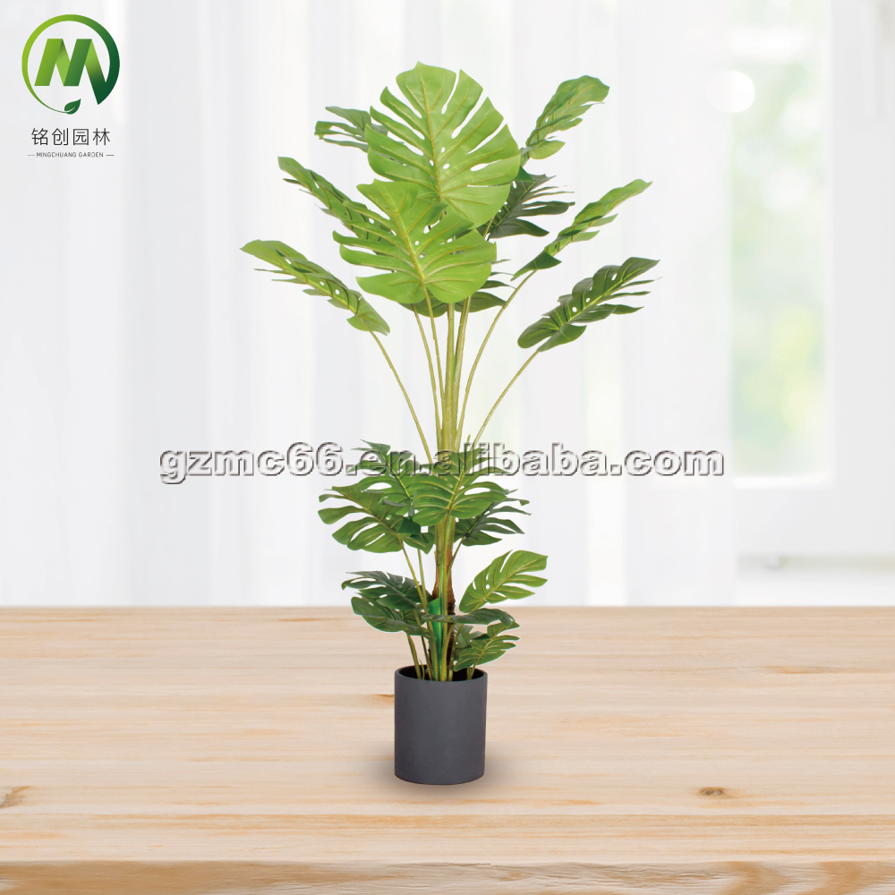 monsteria-4trunks- 120cm