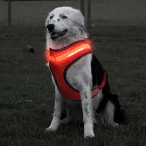 Vente en gros de laisse pour chien, collier clignotant pour animal de compagnie, gilet pour chien éclairé par LED, harnais pour chien