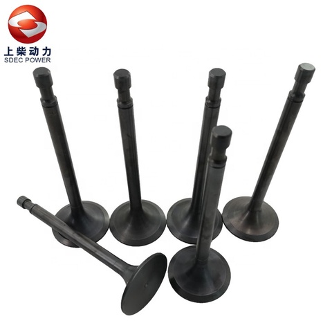 Shanghai Dongfeng Diesel Engine SDEC G128 SC15G500.1Ca2 SC15G500Ca2 Boat Ship Marine Intake Valve A761Z-04-004+A
