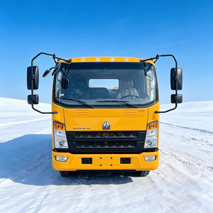 Il Camion Soccorso HOWO 4x2 Più Conveniente per il Trasporto di Veicoli Danneggiati, Rimorchiabile (1 o 2 Veicoli), Personalizzabile - Product Image 2