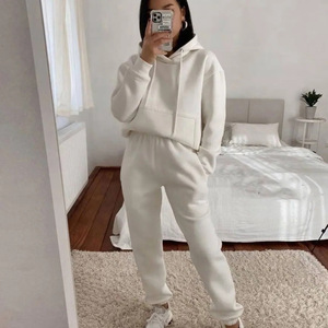 Set di abbigliamento sportivo con Logo personalizzato due pezzi per donna uomo traspirante Casual con cappuccio a manica lunga felpa tinta unita - Product Image 4