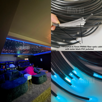 Cable de Fibra Óptica Multifilar Personalizado con Extremo Luminoso, Iluminación Óptica Flexible de Fibra Plástica PMMA para Techo y Piscina
