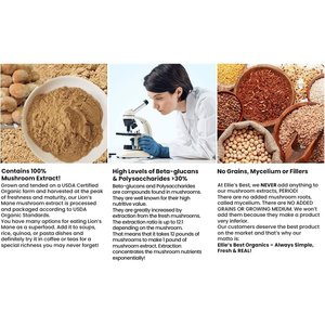 Extrait de Crinière de Lion de Haute Qualité sous Marque Blanche & Extrait de Champignon en Poudre à Action Rapide & Effet Durable pour une Relaxation Accrue - Product Image 3