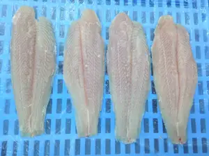 Frozen Pangasius Fillet In Fish Basa High Quality Vietnam