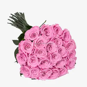 China Factory Customized Real Natural Stabilized Eternal Forever Immortal Long Stem Roses Preserved Flower