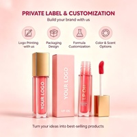 Fabricant OEM ODM de gloss à lèvres, maquillage végétalien et sans cruauté animale, fournisseur de marques de beauté en marque blanche, ensemble de gloss à lèvres mats pour maquillage