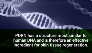 TW Centella PDRN Complexe avancé de réparation dérivé des plantes Liquide Cosmétique Matière première Régénération de la peau Guérison Base de soin de la peau - Product Image 2