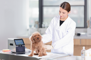 Analizador de Química Seca POCT para <span class=keywords><strong>Veterinaria</strong></span>, Analizador de Bioquímica <span class=keywords><strong>Veterinaria</strong></span> Totalmente Automático, Bioquímica para Mascotas, Perros y Gatos - Product Image 2