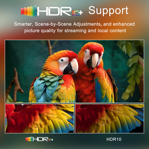 กล่องทีวี Android OEM เครื่องเล่นมีเดีย Quad Core Amlogic S905Y4 4K Android 11 ช่องใส่ซิม 4G WiFi แบบดูอัลแบนด์ H265 HDR - Product Image 5