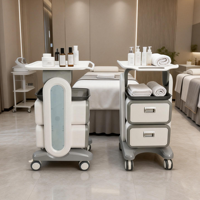 Chariot de Salon Portable, Chariot de Spa, Station de Travail en ABS avec Roues, 2 Tiroirs, Étagère Roulante pour Instruments de Beauté et de Tatouage