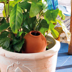 Set di 3 distributori d'acqua a sfera in <span class=keywords><strong>Terracotta</strong></span> irrigazione automatica per la cura delle piante - Product Image 4