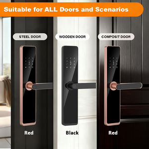 Умный замок AIEN с функцией распознавания отпечатков пальцев, водонепроницаемый, цвет античный красный, с облачным хранилищем, для деревянных дверей отелей, с ручкой - Product Image 3