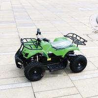 Quad 4x4 chinois 1000cc pour enfants, roues A4, Raptor, démarrage électrique, carrosserie en acier, 36V, scooter pour enfants de 3 à 12 ans