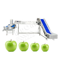 Myonly Automatische Roestvrijstalen Vis Verse Garnaal Zoete Aardappel Datumgrootte Sorteermachine Naar Gewicht Voor Mangosteen