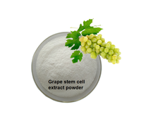 Poudre de cellules souches de raisin blanc naturel de qualité alimentaire supérieure avec ingrédients vitaminés pour les soins de la peau, en emballage bouteille/fût