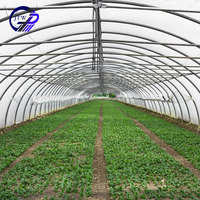 Serre tropicale de haute qualité Vente en ligne Serre agricole Tente Serres de jardin préfabriquées