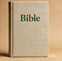 Bible chrétienne personnalisée professionnelle, version James, avec fermeture éclair, grand format, versets imprimés, mini Bible sacrée, Nkjv, carton