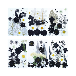 E2967 Bán Buôn Mini Hoa Khô Vật Liệu Túi Bridal <span class=keywords><strong>Make</strong></span> Up Trang Trí Nội Thất Tự Nhiên Khô Ép Hoa Ép Hoa Khô Cho Nhựa - Product Image 4