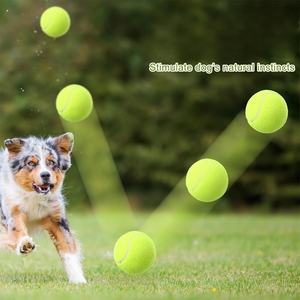 <span class=keywords><strong>Lanceur</strong></span> <span class=keywords><strong>de</strong></span> balle <span class=keywords><strong>de</strong></span> tennis <span class=keywords><strong>automatique</strong></span> pour chien <span class=keywords><strong>de</strong></span> luxe jouets électriques pour chien <span class=keywords><strong>lanceur</strong></span> <span class=keywords><strong>de</strong></span> balle <span class=keywords><strong>de</strong></span> chiot intelligent pour chiens <span class=keywords><strong>de</strong></span> petite à moyenne taille - Product Image 5