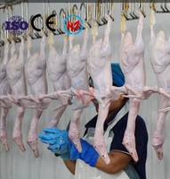 Chaîne d'abattage flexible pour volailles Haoze |   300-15000BPH |   Poulet Canard |   Solution clé en main |   Roulement de moteur de pompe |   Avancé