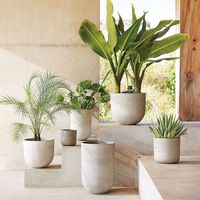 Jardinière ronde en béton sur mesure, pot à fleurs en ciment moderne et minimaliste, prix direct usine OEM ODM, export en gros
