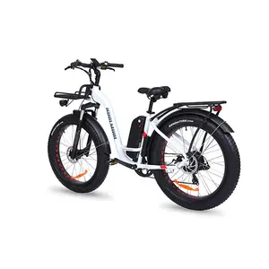 Fashion Lithium Battery electric bike 250w500w750w brushless motor e bike ebike for women
