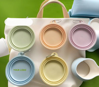 Bol pliable en silicone pour animaux de compagnie, couleur macaron, pour boire et manger en extérieur, bol de voyage portable pour animaux de compagnie