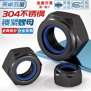 Tianzhuo Hardware Black 304 Stainless Steel Lock Nut M3 M4 M5 M6 M8 M10 Nylon Hex Anti Loosening For Fitness Equipment - Product Image 2