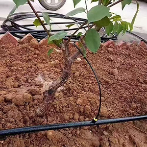 Free Design Cocoa Tree <strong>Irrigation</strong> Kit Center Pivot <strong>Irrigation</strong> System 1000m <strong>Drip</strong> <strong>Irrigation</strong> Kit for Garden - Product Image 1
