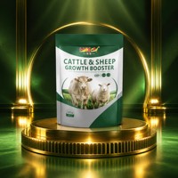 Supplément d'engraissement efficace pour rendre le bétail et les moutons plus forts et plus gras, favorisant une croissance rapide et un engraissement accéléré en vrac