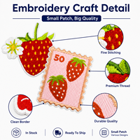 Lot de patchs brodés fraises pour grossistes – Appliques thermocollantes mignonnes en forme de fruits pour vêtements, vestes, sacs, chapeaux, décoration DIY