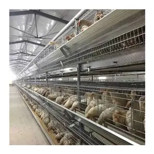 Hühnerzucht-Fertighaus komplettlösungen automatisches Schicht-Broiler Geflügelkäfigsystem multifunktionales bereitgestelltes Hühnerei