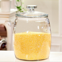 Stoples Penyimpanan Makanan Kaca Borosilikat Tinggi Grosir, Anti Bocor, Anti Lembab, Kedap Udara 14*16cm, Wadah Dapur Transparan, Grosir