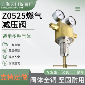Regulador de Presión de Gas Shanghai Tianchuan Z0525 ER4PM G de Cobre de Una Etapa para Uso en Tuberías de Oxígeno - Product Image 3