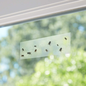 Piège à insectes transparent autocollant pour fenêtre, idéal pour les mouches et les insectes volants domestiques - Product Image 6