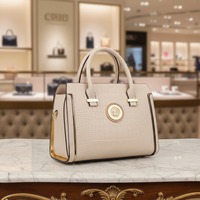 Sac à main coussin grande capacité pour femme, vente en gros d'usine, tendance