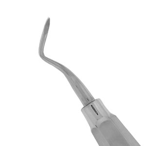 Élévateurs de racine en acier inoxydable / Instruments vétérinaires pour chirurgie et extraction dentaire – Prix abordable - Product Image 3