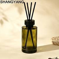 Bouteilles de diffuseur à roseaux en verre rondes de 100 ml, 120 ml, 150 ml, 200 ml, vides, rechargeables, pour parfums et arômes, avec bouchon à vis