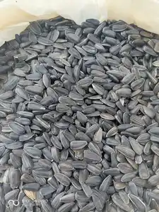 Venta al por mayor de semillas de girasol secas a granel sin OGM de origen chino de Mongolia Interior para aceite semillas de girasol de aceite crudo sin cáscara negra