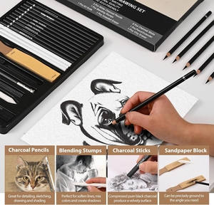 Set Professionale di Matite per Schizzi a Carboncino, Kit Artistico per <span class=keywords><strong>Disegno</strong></span> in Bianco e Nero con Bastoncini di Grafite, Strumenti per Sfumatura e Astuccio per Artisti - Product Image 5